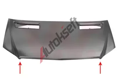 VAN WEZEL Kapota motoru VAW 3083660, 3083660