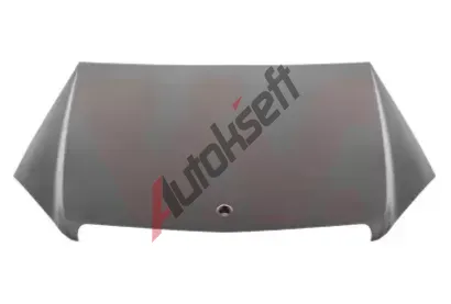 VAN WEZEL Kapota motoru VAW 3091660, 3091660