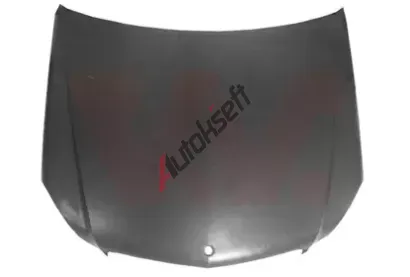 VAN WEZEL Kapota motoru VAW 3097660, 3097660 VAN WEZEL Kapota motoru VAW 3097660, 3097660
