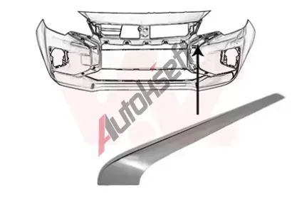VAN WEZEL Ozdobn / ochrann lita nraznku VAW 3266581, 3266581