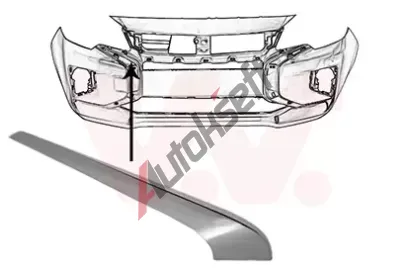 VAN WEZEL Ozdobn / ochrann lita nraznku VAW 3266582, 3266582