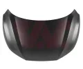 Kapota motoru VAN WEZEL ‐ VAW 3356660