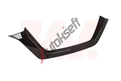 VAN WEZEL Ozdobn / ochrann lita nraznku VAW 3375518, 3375518