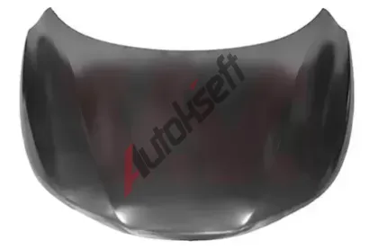 VAN WEZEL Kapota motoru VAW 3391670, 3391670