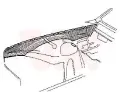 Blatnk VAN WEZEL ‐ VAW 3723219