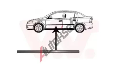 VAN WEZEL Ozdobn / ochrann lita dve VAW 3742423, 3742423