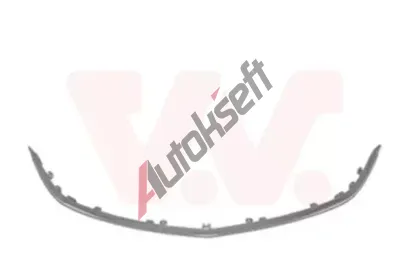 VAN WEZEL Ozdobn / ochrann lita mky chladie VAW 3749517, 3749517