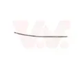 Ozdobn / ochrann lita nraznku VAN WEZEL ‐ VAW 3749550