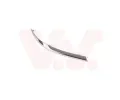 Ozdobn / ochrann lita nraznku VAN WEZEL ‐ VAW 3749553