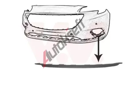 VAN WEZEL Kryt nraznku VAW 3804581, 3804581