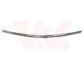 Ozdobn / ochrann lita mky chladie VAN WEZEL ‐ VAW 3850515