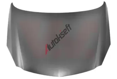 VAN WEZEL Kapota motoru VAW 3850670, 3850670 VAN WEZEL Kapota motoru VAW 3850670, 3850670