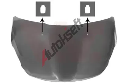 VAN WEZEL Kapota motoru VAW 4034670, 4034670