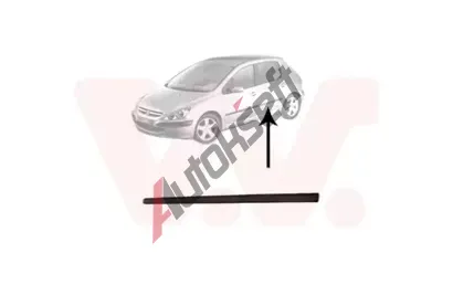 VAN WEZEL Ozdobn / ochrann lita dve VAW 4040405, 4040405