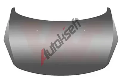 VAN WEZEL Kapota motoru VAW 4041660, 4041660 VAN WEZEL Kapota motoru VAW 4041660, 4041660