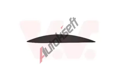 VAN WEZEL Ozdobná / ochranná lišta dveří VAW 4085425, 4085425 VAN WEZEL Ozdobná / ochranná lišta dveří VAW 4085425, 4085425