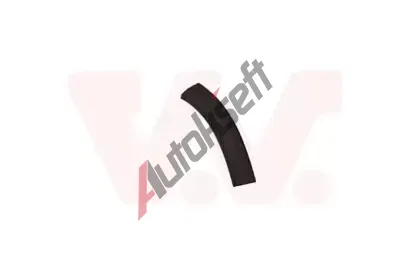 VAN WEZEL Ozdobn / ochrann lita nraznku VAW 4085586, 4085586