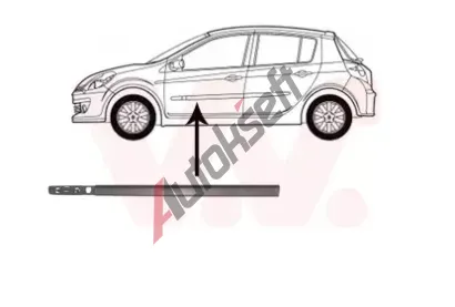VAN WEZEL Ozdobn / ochrann lita dve VAW 4331423, 4331423