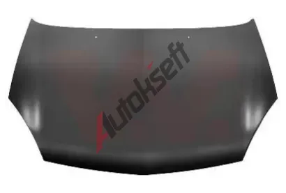 VAN WEZEL Kapota motoru VAW 4341660, 4341660 VAN WEZEL Kapota motoru VAW 4341660, 4341660