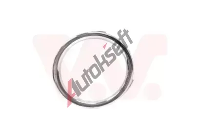 VAN WEZEL Kryt nraznku VAW 4373588, 4373588