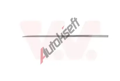 VAN WEZEL Ozdobn / ochrann lita dve VAW 4420403, 4420403