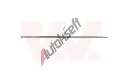VAN WEZEL Ozdobn / ochrann lita dve VAW 4420404, 4420404