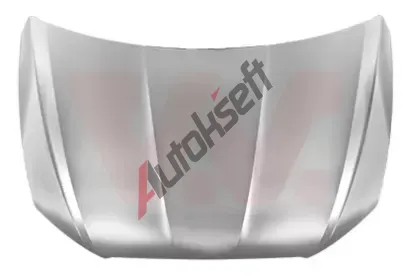 VAN WEZEL Kapota motoru VAW 4929660, 4929660