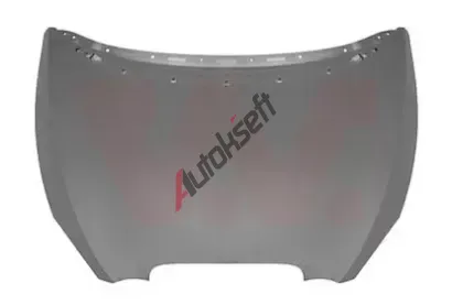 VAN WEZEL Kapota motoru VAW 4941660, 4941660 VAN WEZEL Kapota motoru VAW 4941660, 4941660