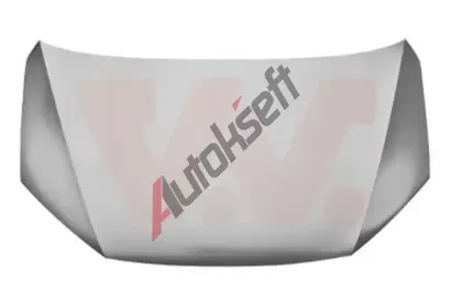 VAN WEZEL Kapota motoru VAW 4957660, 4957660