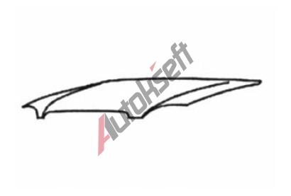 VAN WEZEL Kapota motoru VAW 5216660, 5216660