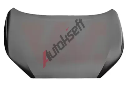 VAN WEZEL Kapota motoru VAW 5310660, 5310660 VAN WEZEL Kapota motoru VAW 5310660, 5310660