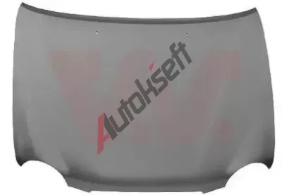 VAN WEZEL Kapota motoru VAW 5387660, 5387660 VAN WEZEL Kapota motoru VAW 5387660, 5387660