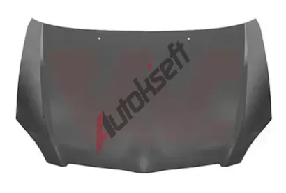 VAN WEZEL Kapota motoru VAW 5393660, 5393660