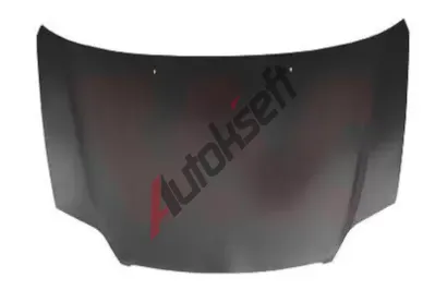 VAN WEZEL Kapota motoru VAW 5395660, 5395660