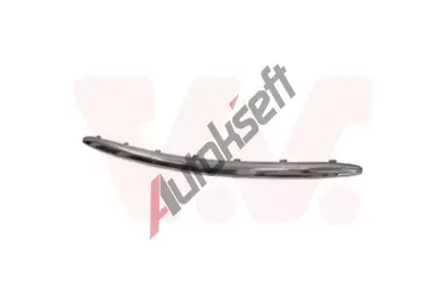 VAN WEZEL Ozdobn / ochrann lita nraznku VAW 5407581, 5407581