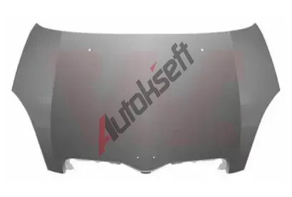 VAN WEZEL Kapota motoru VAW 5430660, 5430660 VAN WEZEL Kapota motoru VAW 5430660, 5430660