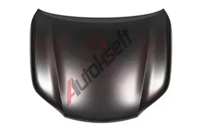 VAN WEZEL Kapota motoru VAW 5488660, 5488660