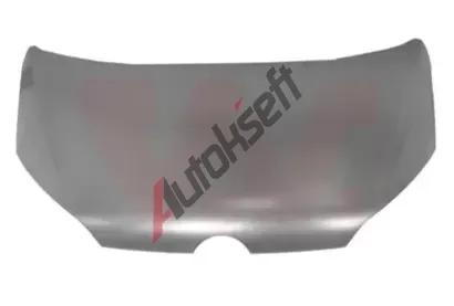 VAN WEZEL Kapota motoru VAW 5701660, 5701660