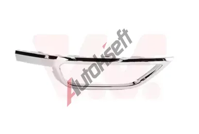 VAN WEZEL Ozdobn / ochrann lita nraznku VAW 5710553, 5710553