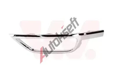 VAN WEZEL Ozdobn / ochrann lita nraznku VAW 5710554, 5710554
