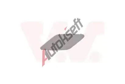 VAN WEZEL Kryt nraznku VAW 5742487, 5742487