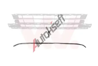 VAN WEZEL Ozdobná / ochranná lišta mřížky chladiče VAW 5742585, 5742585  VAN WEZEL Ozdobná / ochranná lišta mřížky chladiče VAW 5742585, 5742585