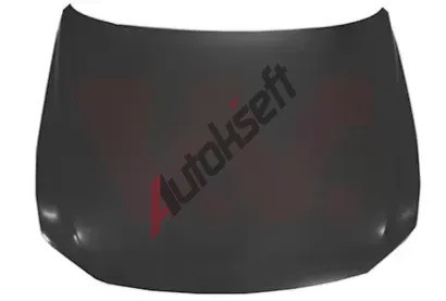 VAN WEZEL Kapota motoru VAW 5742660, 5742660