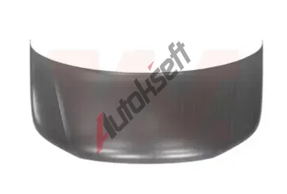 VAN WEZEL Kapota motoru VAW 5790660, 5790660