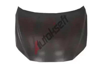 VAN WEZEL Kapota motoru VAW 5933660, 5933660