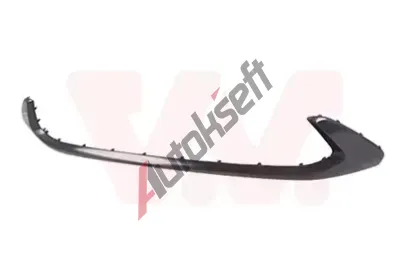 VAN WEZEL Ozdobn / ochrann lita nraznku VAW 8150580, 8150580