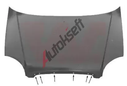 VAN WEZEL Kapota motoru VAW 8203660, 8203660