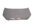 Kapota motoru&nbsp;VAN WEZEL&nbsp;&dash;&nbsp;VAW 8252660