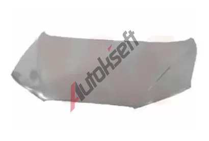 VAN WEZEL Kapota motoru VAW 8266660, 8266660