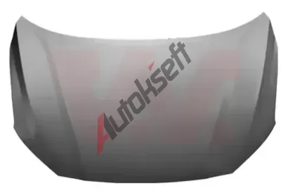 VAN WEZEL Kapota motoru VAW 8279660, 8279660